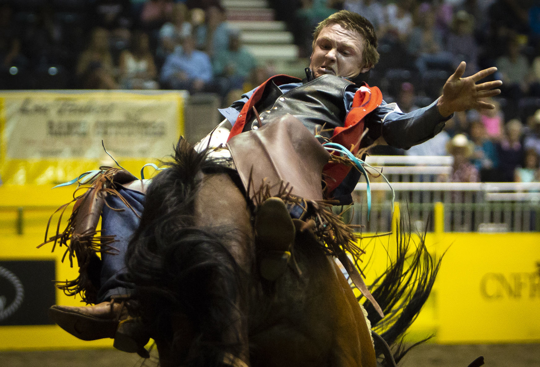 CNFR Wednesday